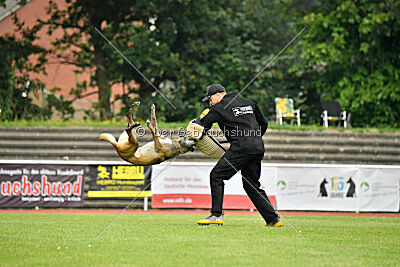 Stylish Motion`s Apple